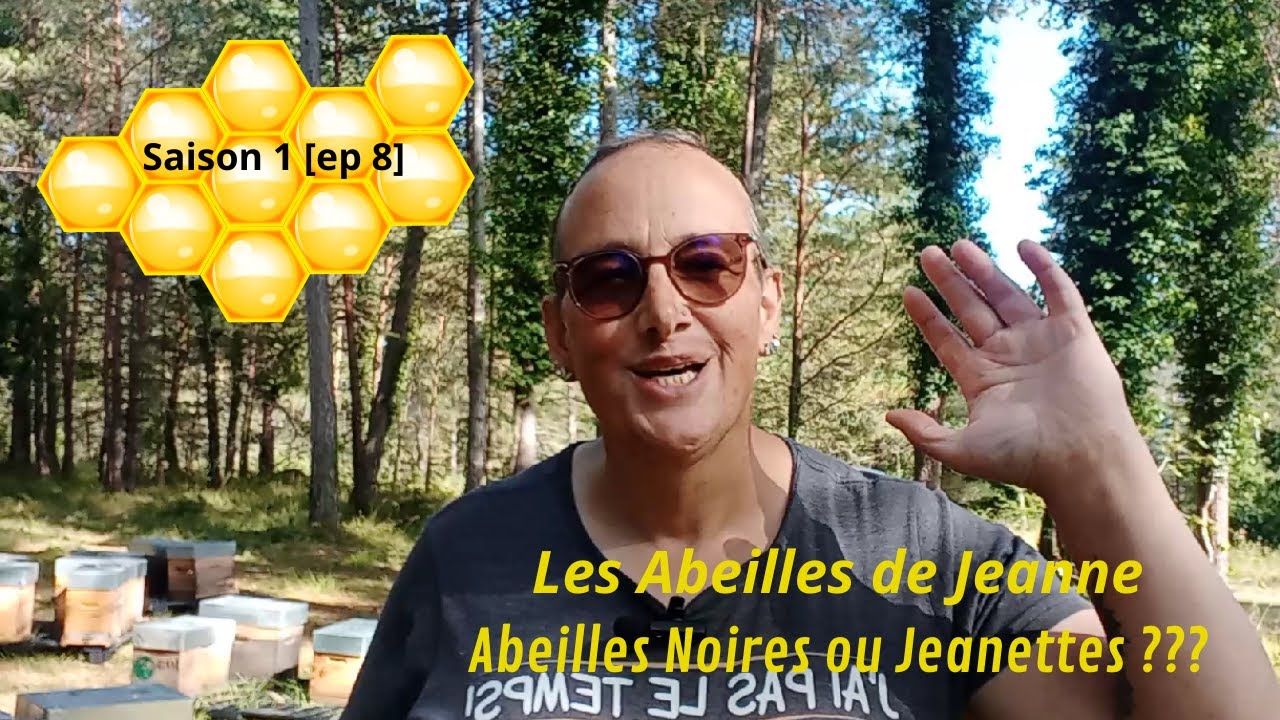Les Abeilles de Jeanne - Jeanettes ou Abeilles Noires ??? - Saison 1 [ep8]