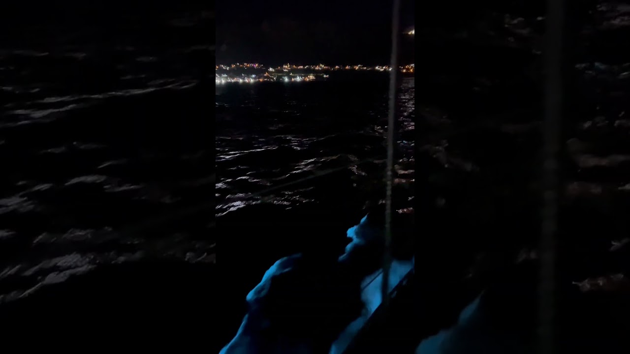 Magical night sailing: Witness Enchanting bioluminescence