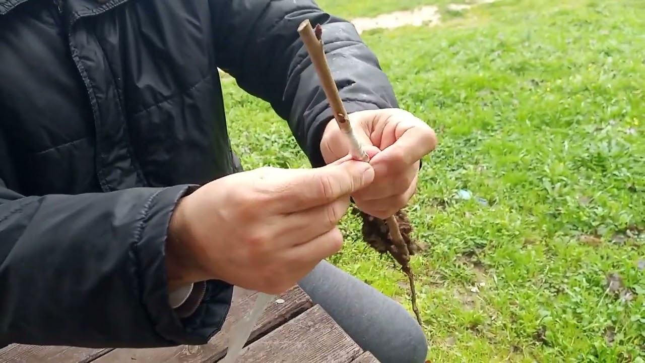 KOLAY VE %99 GARANTİ AŞI NASIL YAPILIR 