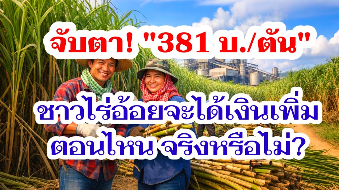 ชาวไร่อ้อยสงสัย 381 บาทต่อตันคือเงินอะไรได้จริงไหม! มาฟังกัน!