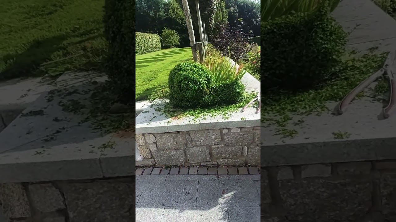 Creative Hedge Trimming &ndash; Garden Art #owl #woodscraft #woodart #viral #sculpture