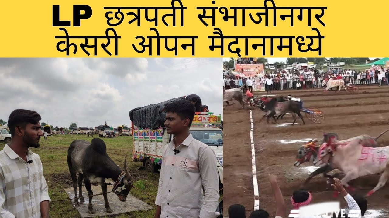 छत्रपती संभाजीनगर  केसरी ओपन बैलगाडी शर्यत सायगाव आरापुर | LP 