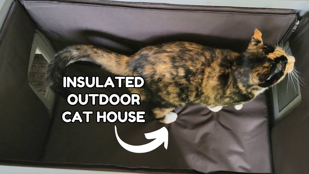 Gutinneen Outdoor Insulated Cat House Weatherproof Cat Shelter - My Review