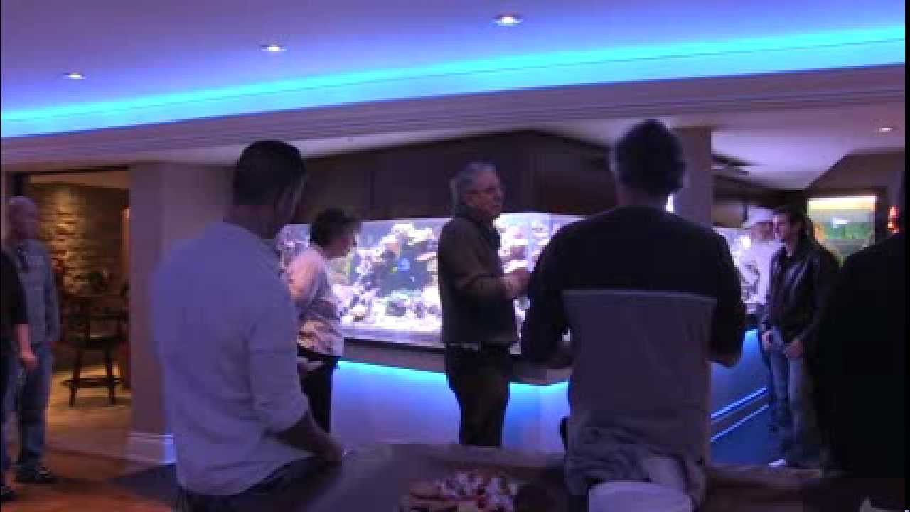 Peter's Fish Tank - Episode 4 - Open House