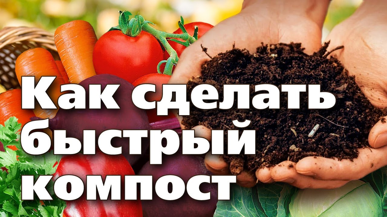 ДЕЛАЕМ КОМПОСТ ЗА СЕЗОН. Секретная добавка в компостную кучу