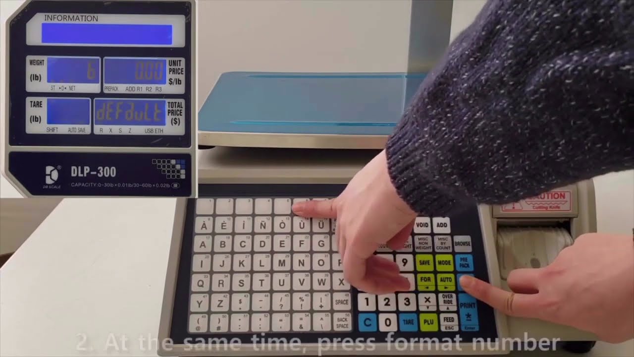 [DLP-300 #1] How to change Label Format (NEW)