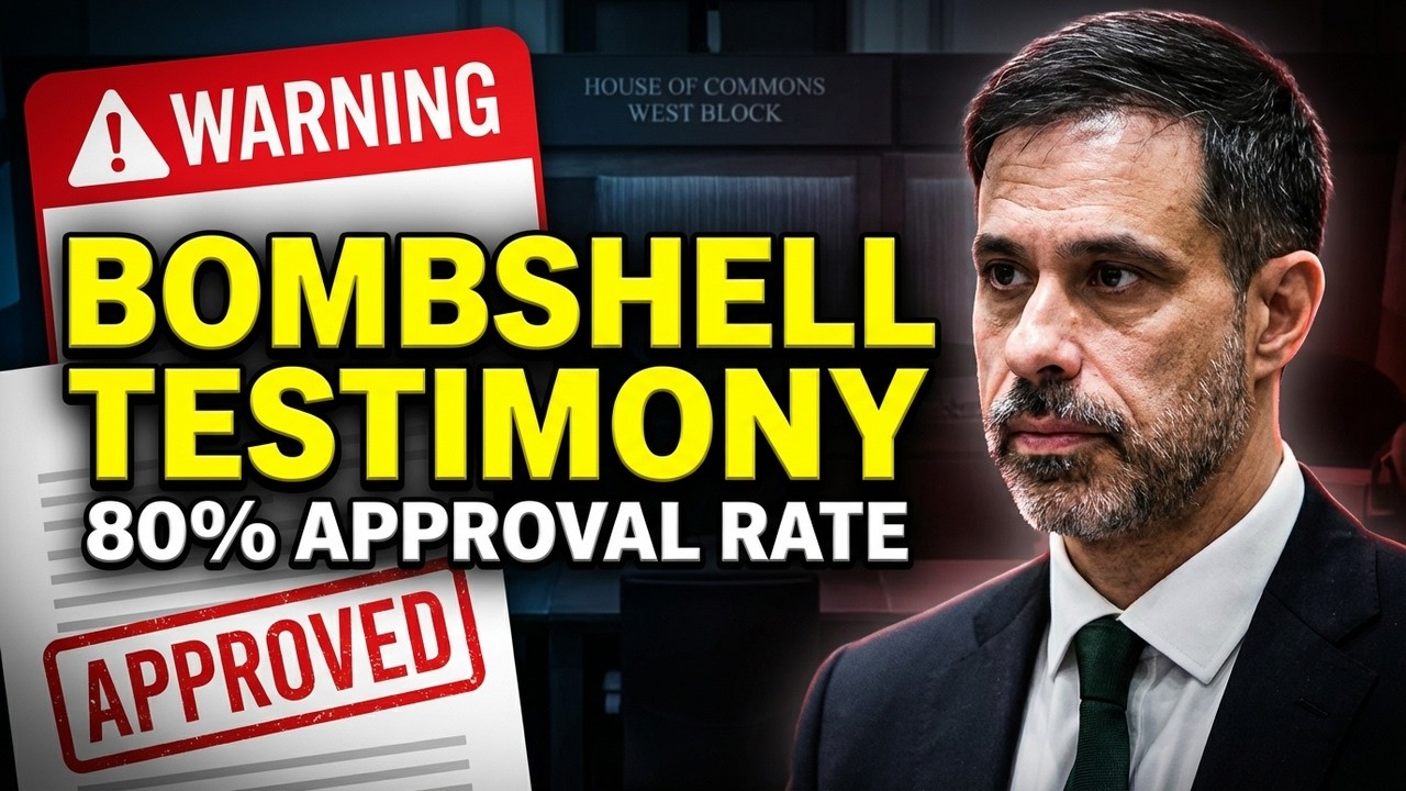 Asylum Approvals Without Face-to-Face Interviews | Parliament Testimony