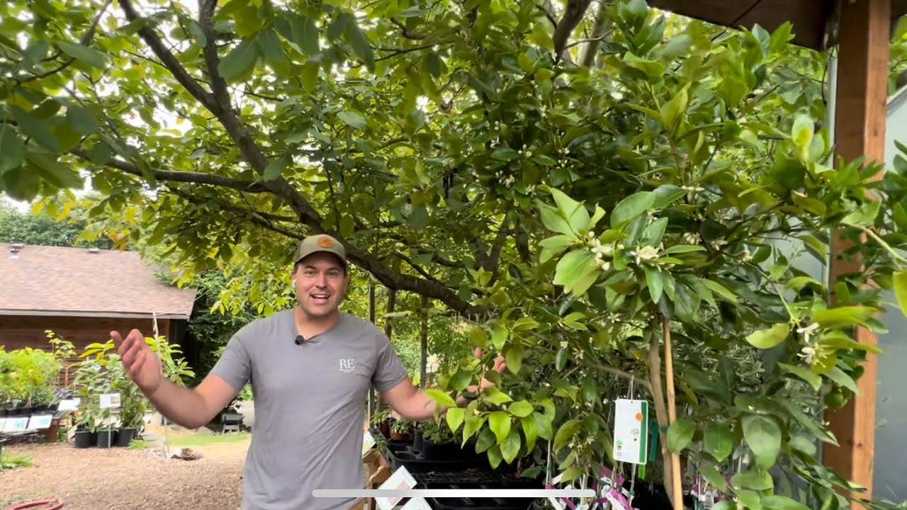Inside One of the Largest Fruit Tree Nurseries in the PNW – Restoring Eden Tour & Interview
