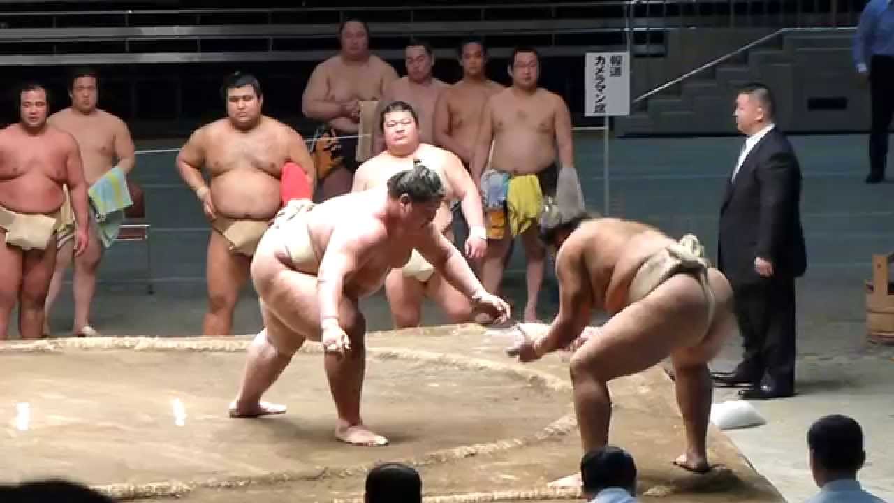 かわいがり方ぎこちな～い、逸ノ城が輝にぶつかり稽古！高田川親方公認！（2015年5月2日　二所ノ関一門連合稽古）