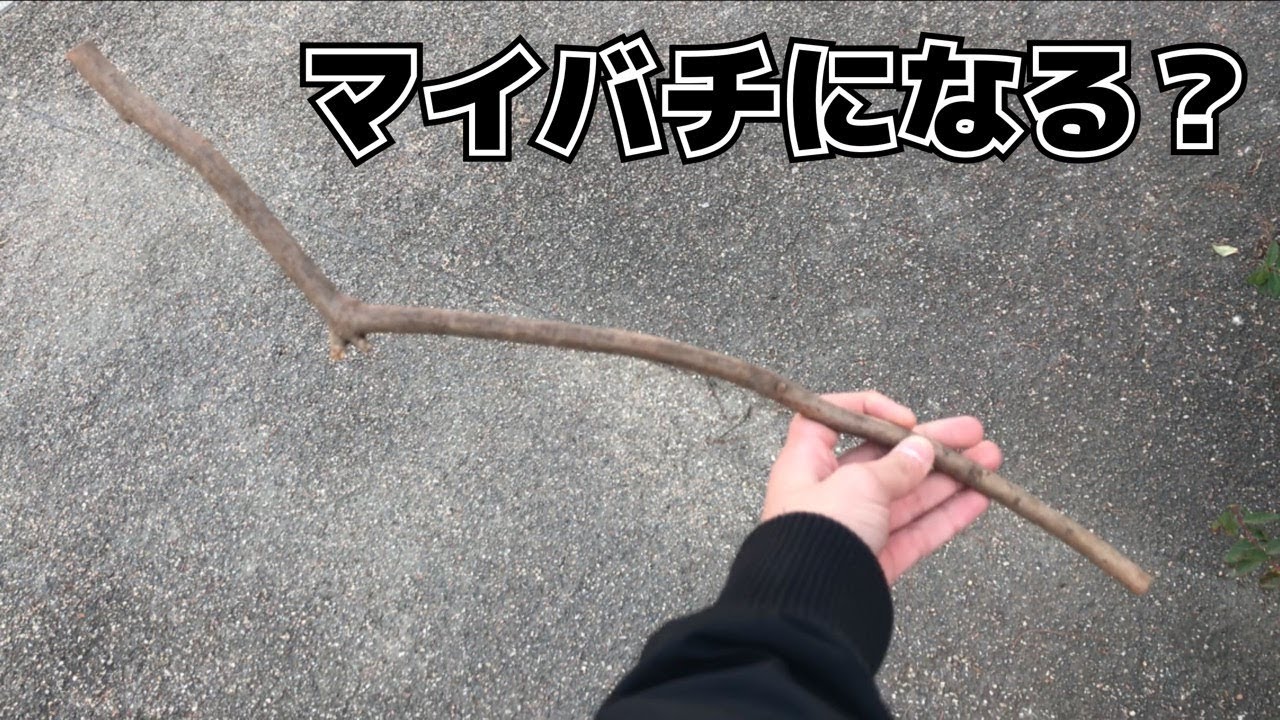 公園に落ちてる木＝マイバチになる説