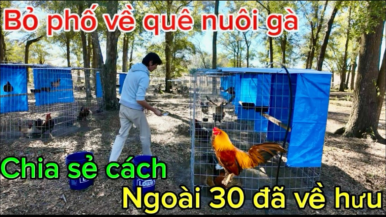 Mới ngoài 30 đã thành công, về quê sống một cuộc sống yên bình 
