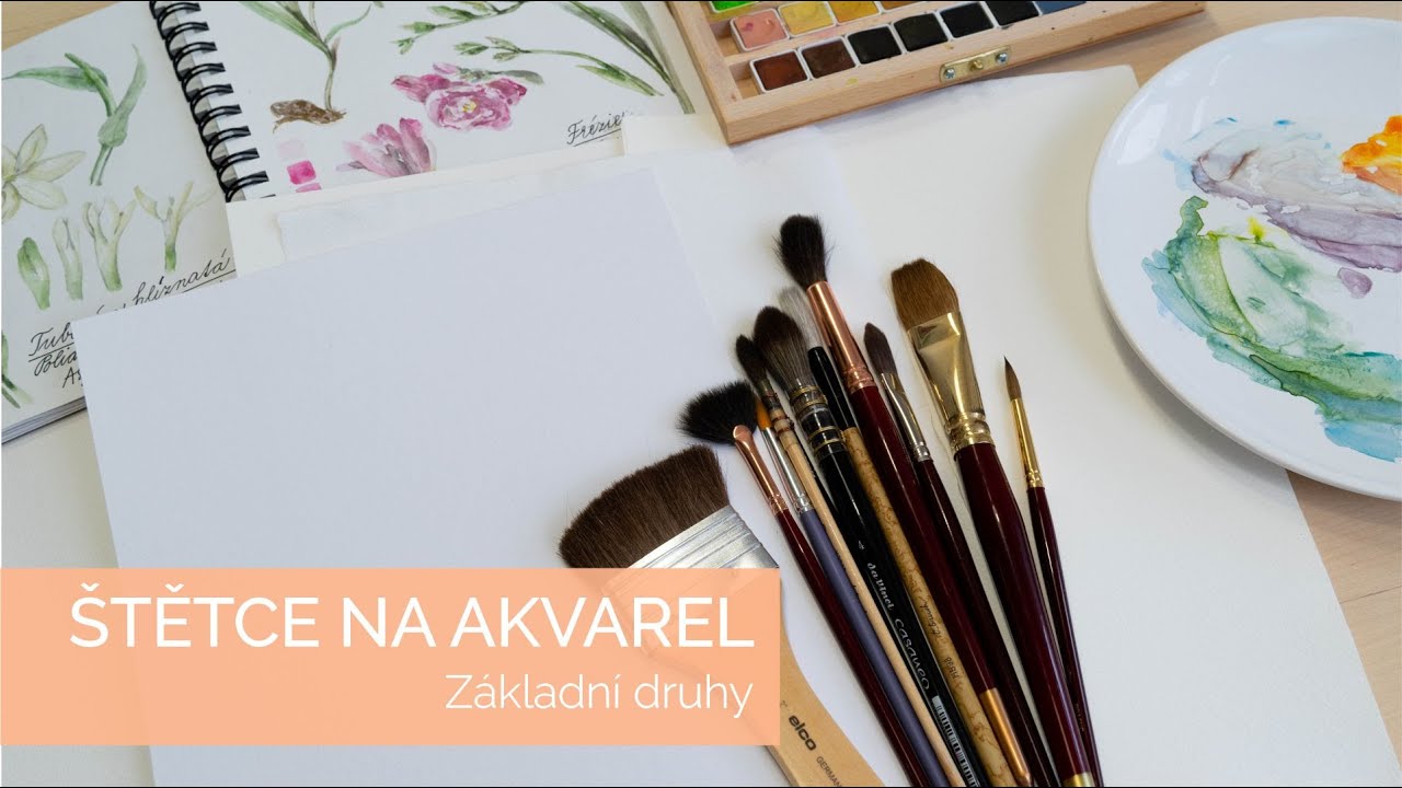 Akvarel - štětce, základní výbava. Jaké štětce si vybrat, aby se vám dobře malovalo?