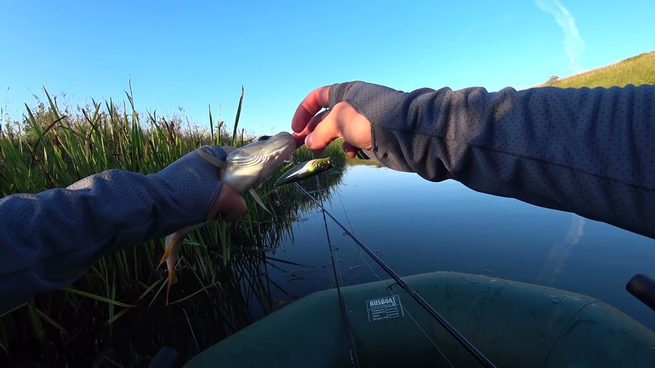 SAVAGE GEAR 3D Minnow Popwalker 66 Сделал мою рыбалку!!