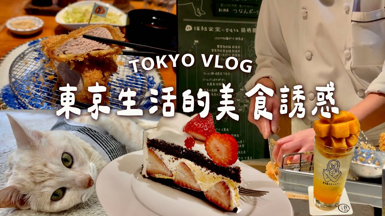 【東京生活日常】在日本做了DNA基因檢測｜新宿時髦又美味的燒鳥店｜六本木炸豬排｜HARBS季節限定蛋糕｜52樓的古埃及展｜Tokyo Vlog｜日本旅行與生活