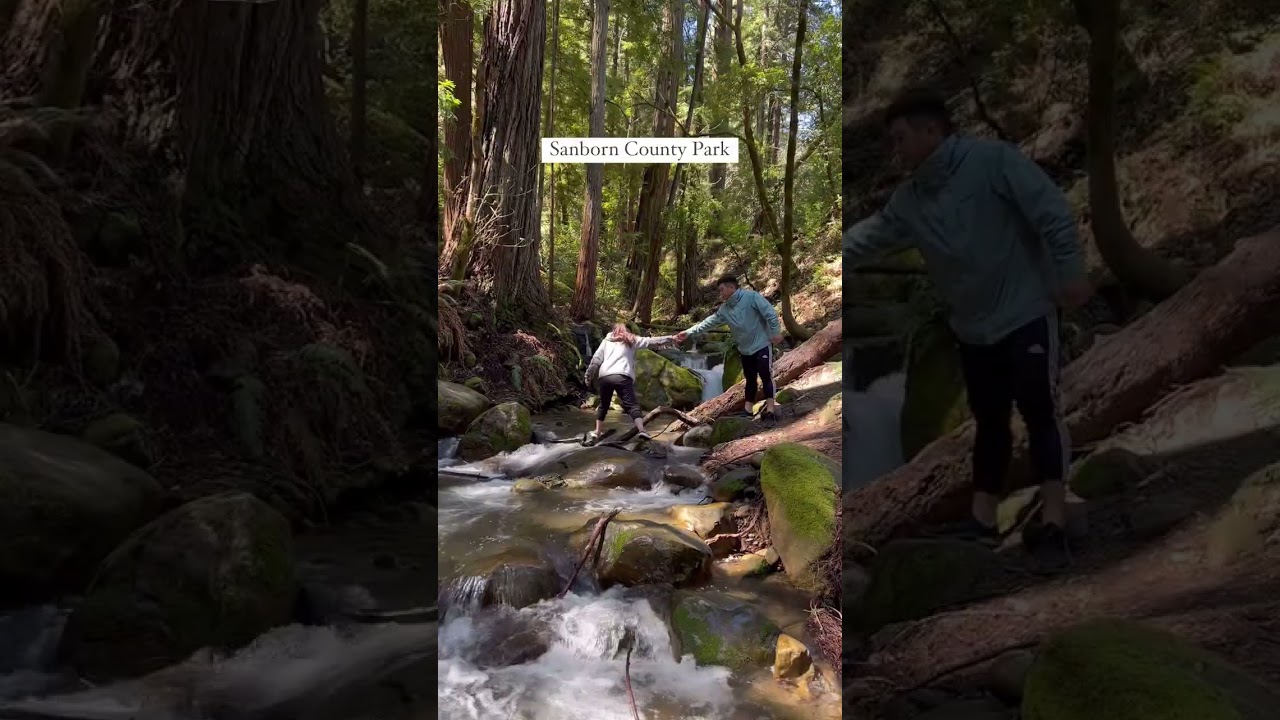 Four Stunning Hikes to do in the Bay Area After it Rains