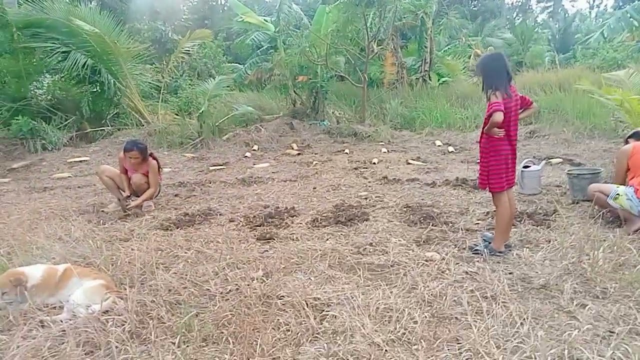 Kana bitaw imong kauban nag cge lang og bagolbol life sa taga bukid 
