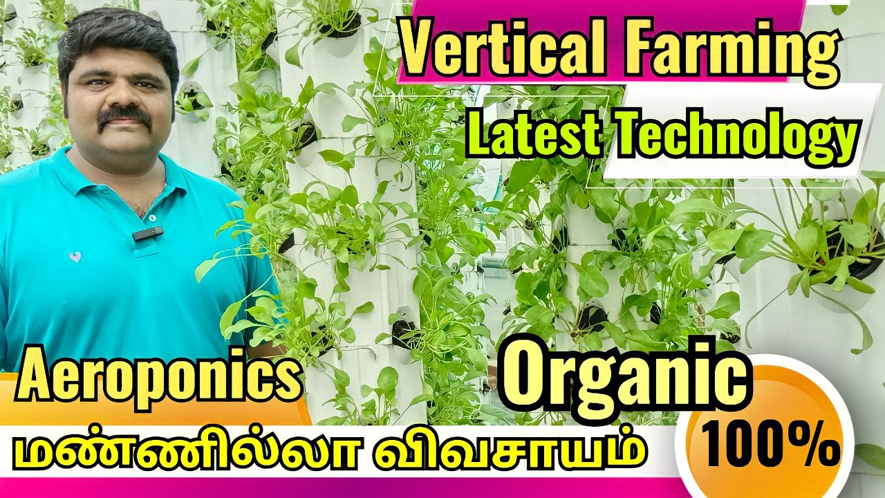 Vertical farming | Aeroponics மண்ணில்லா விவசாயம் | #verticalfarming #aeroponics