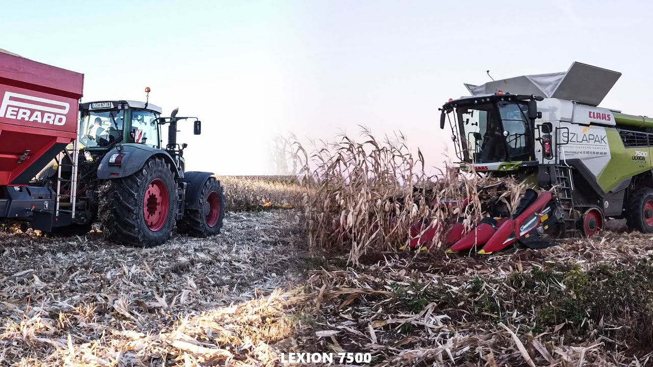 Nowy Class LEXION 7500 Terra Trac || Kukurydza dzień i noc || Usługi Waldemar Szłapak ||