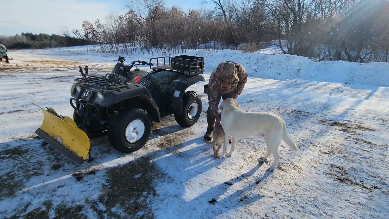 Teaching your dog to ride on a 4 wheeler