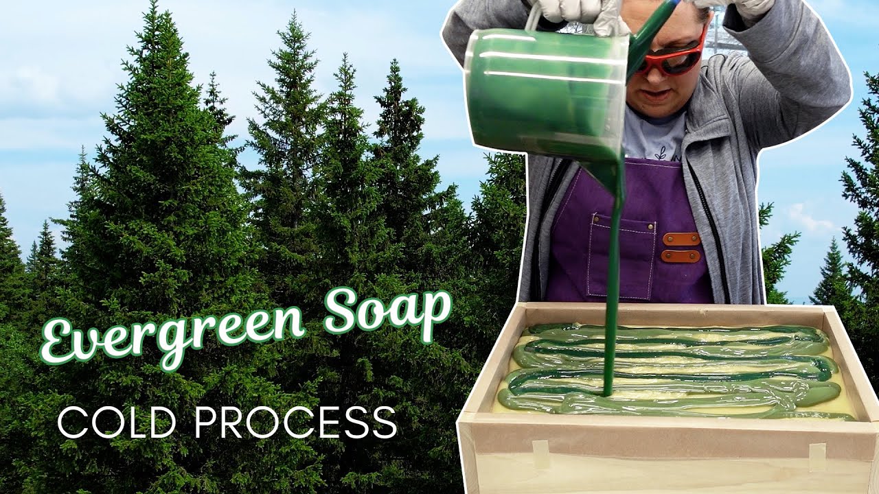 🌲Evergreen Cold Process Soap | Soapmaking with Holly! 🌲| MO River Soap