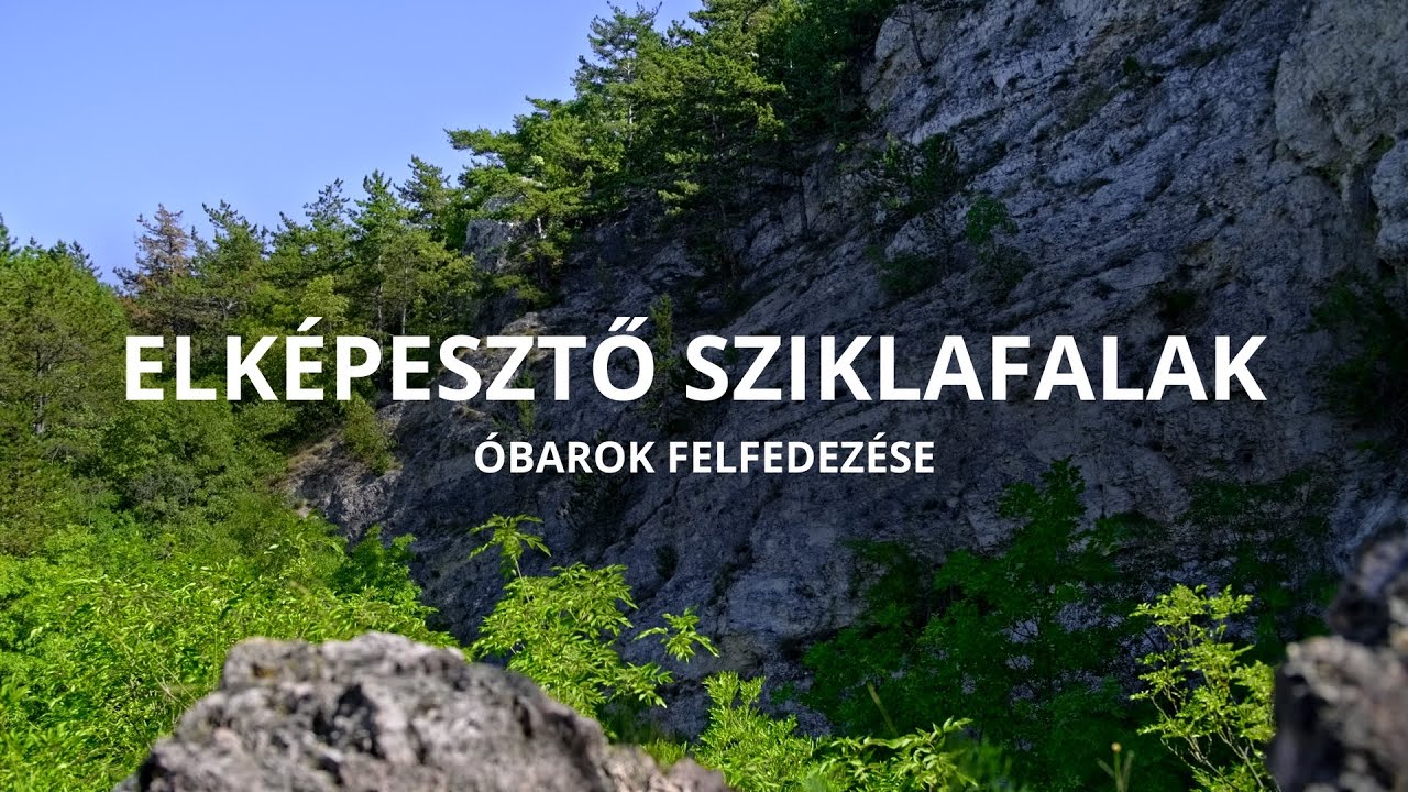 T&uacute;r&aacute;z&aacute;s a Gerecs&eacute;ben, kir&aacute;ndul&aacute;s &Oacute;barok sziklafal&aacute;n&aacute;l #utaz&aacute;s
