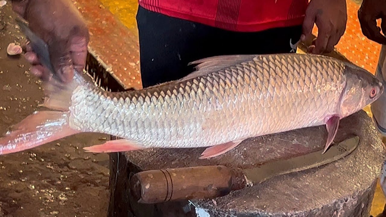 Best Cutting Skills | Big Mrigal Fish Cutting By Expert Fish Cutter