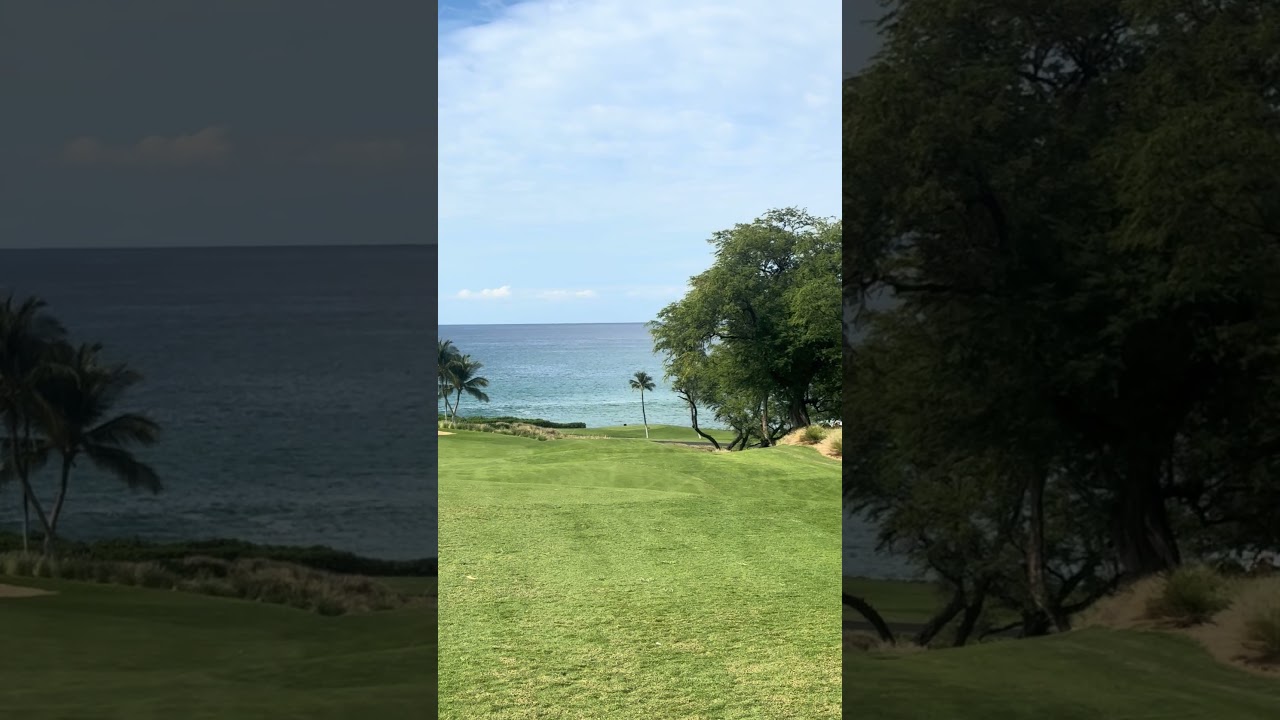 Enjoy the palm trees, ocean and golf course view in Hawaii 