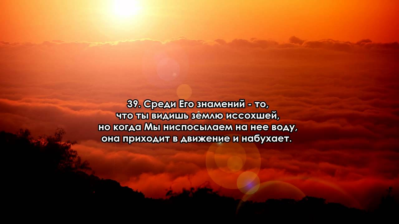 Сура 41. 