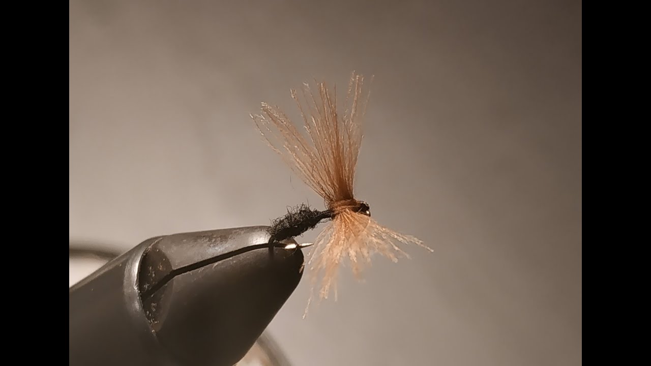 Costruzione formica - ant dry fly tying (metodo A. Roncallo S.S.W.) Tyer P. Lucchini