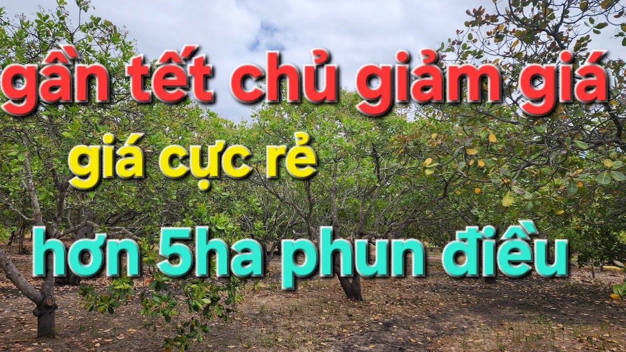 (đã bán)Hơn 5ha chủ giảm giá. ACE quan tâm alô cho em ạ 