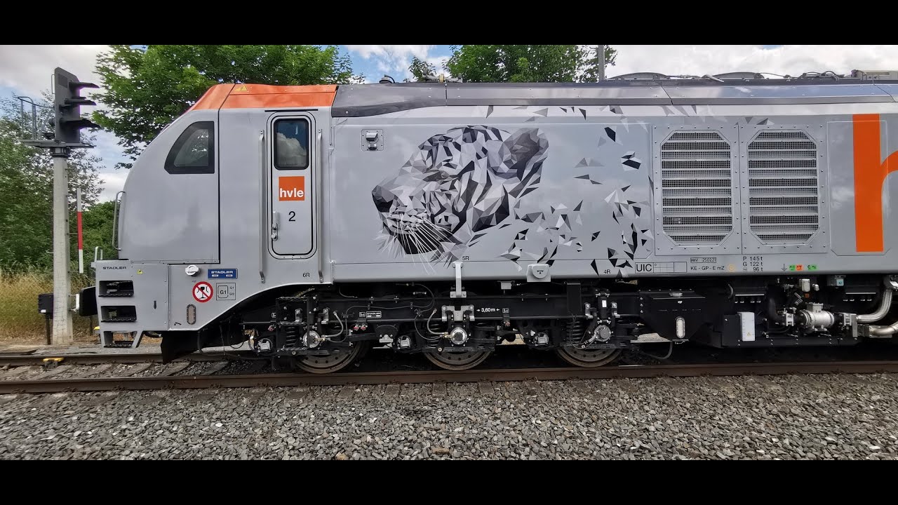 Stadler EuroDual 159 010  Verladeanlage Quedlinburg 25 06 2022