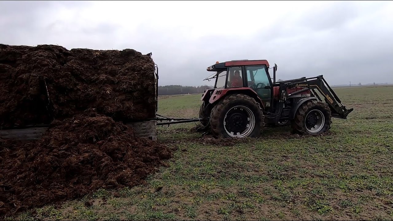 Wywóz obornika w deszcz to nie był dobry pomysł. CASE IH 5130 vs 30 ton. Vlog.