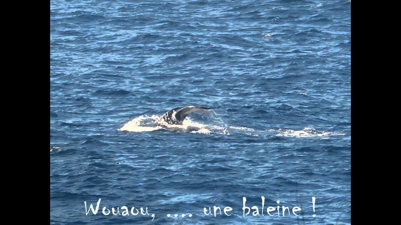 Ballade vélo à la Réunion1