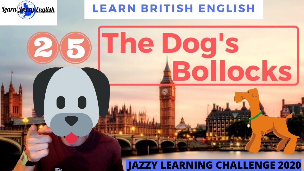 THE DOG'S BOLLOCKS - LEARN REAL BRITISH ENGLISH - 31 DAY JAZZY ENGLISH WORD CHALLENGE 2020