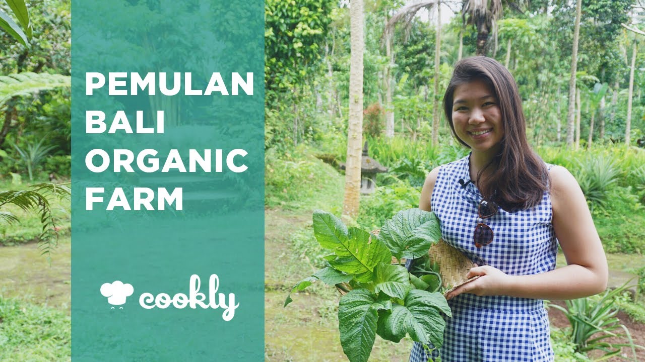 Pemulan Bali Organic Farm Vegetarian Cooking Class in Ubud, Bali