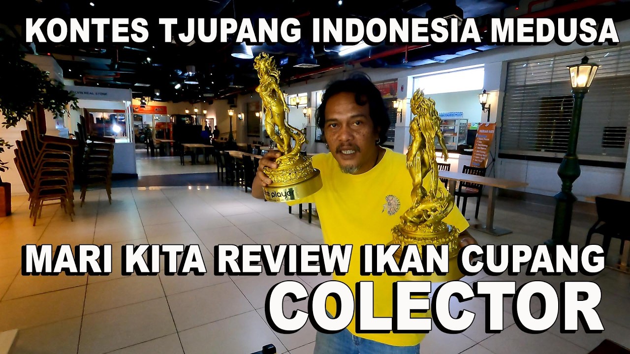 REVIEW IKAN CUPANG COLECTOR DI KONTES MEDUSA KTI