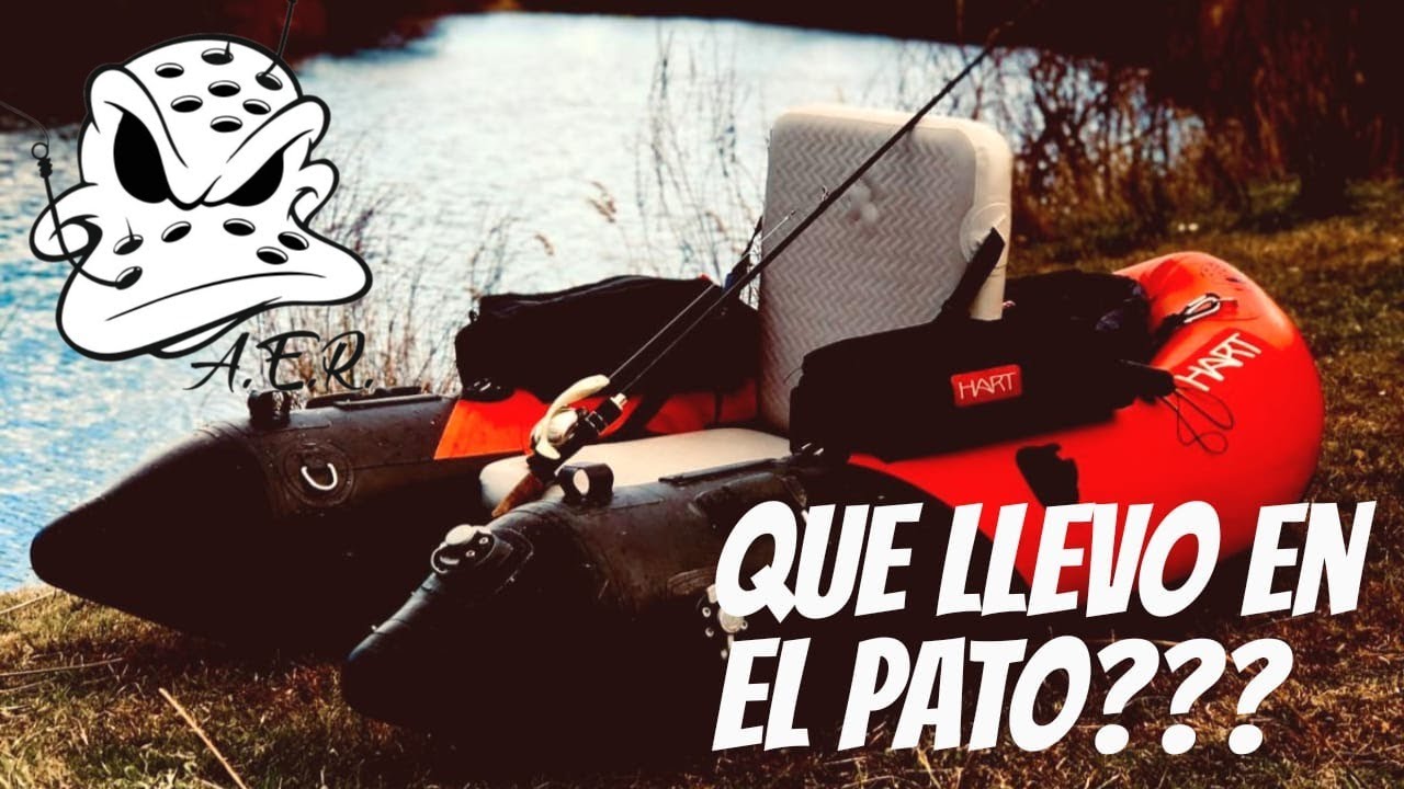 ¿Que llevo en el pato?