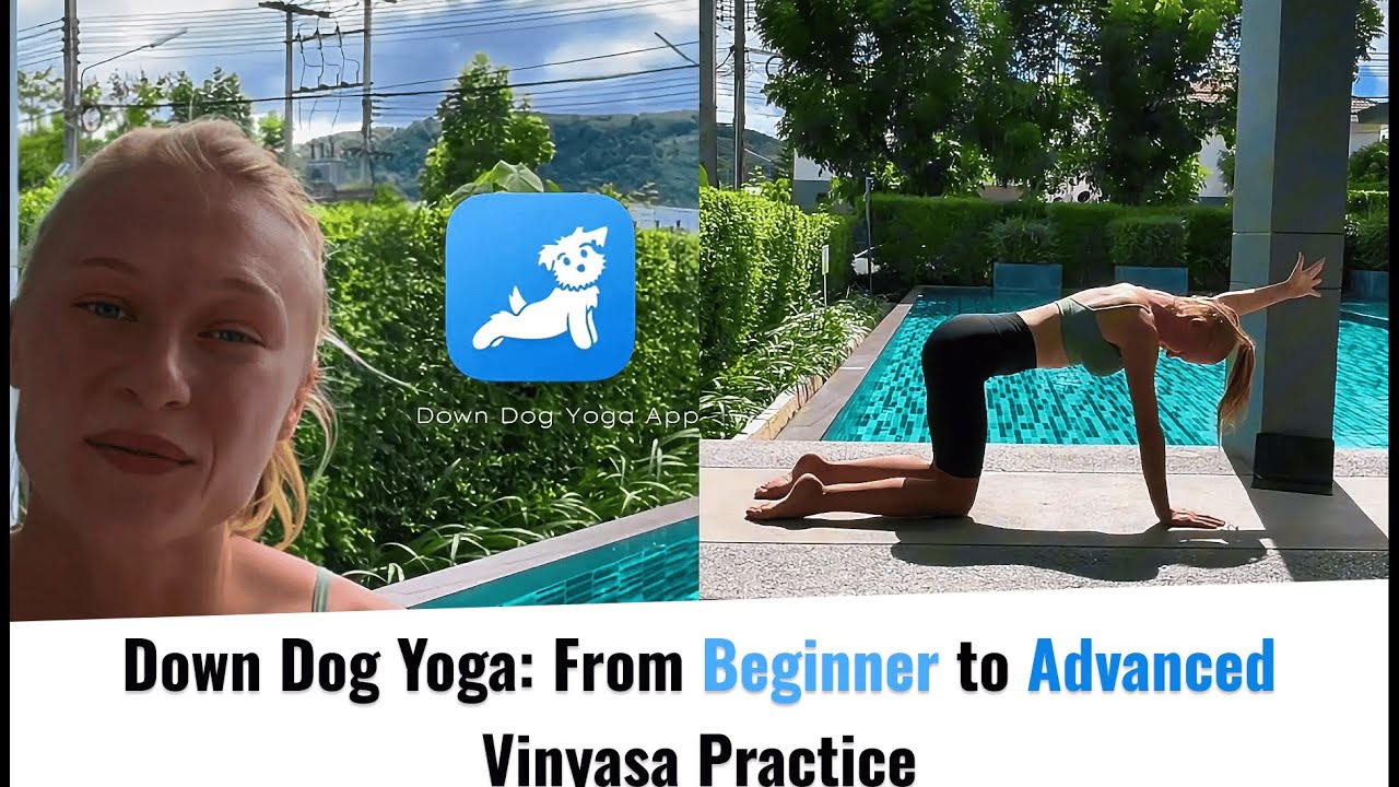Vinyasa Yoga with Down Dog: App Review & Practice for All Levels