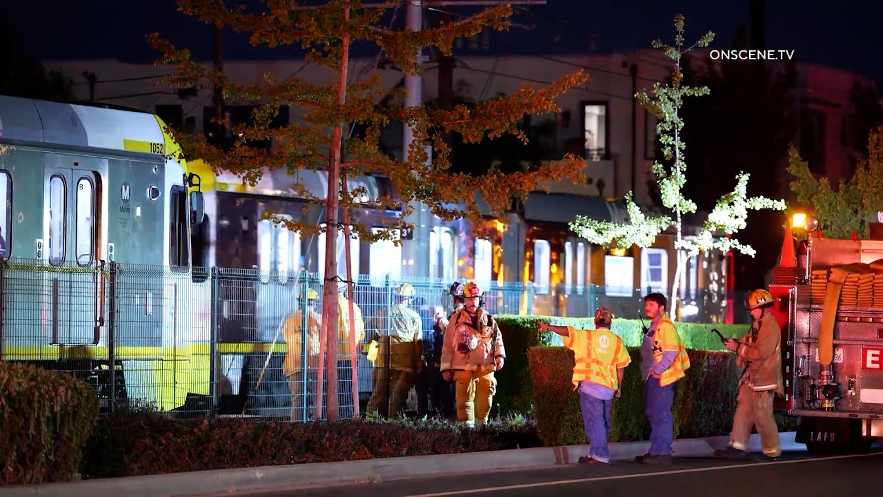 Pedestrian Hit and Killed by Train, Passenger Injured