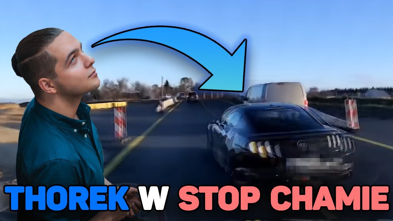 THOREK ogląda siebie w STOP CHAM