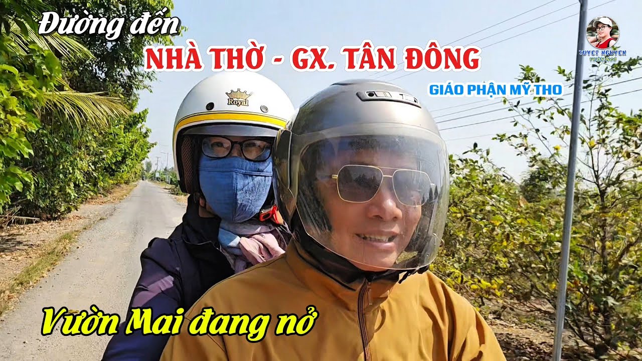 ĐƯỜNG ĐẾN NHÀ THỜ GIÁO XỨ TÂN ĐÔNG - VƯỜN MAI ĐANG NỞ