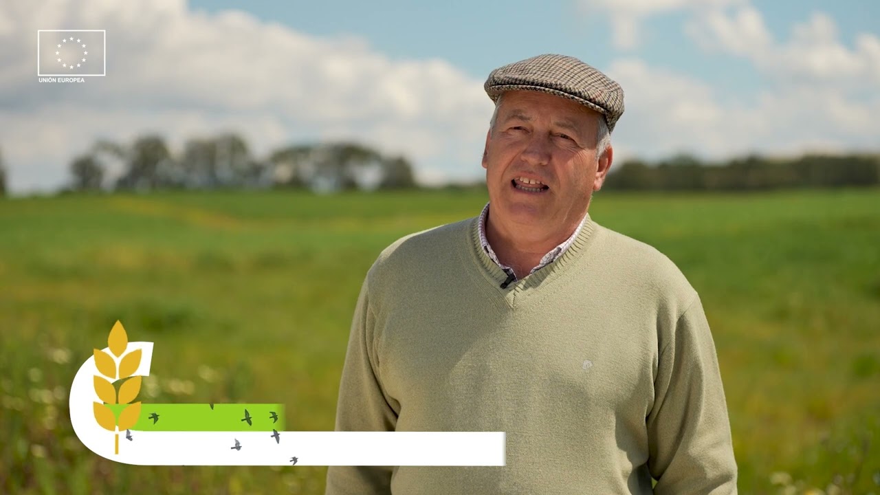 GO Bio C: Taller sobre Variedades Antiguas de Cereal | Trigo y Avena en Agricultura Ecológica 🌾