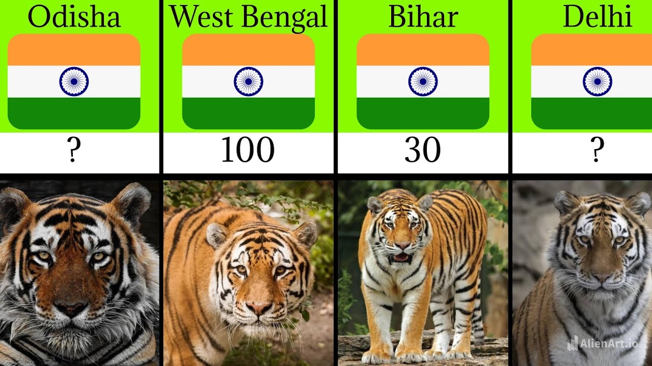 Tiger population in india | tiger population in india 2025 | tiger population in india 2024