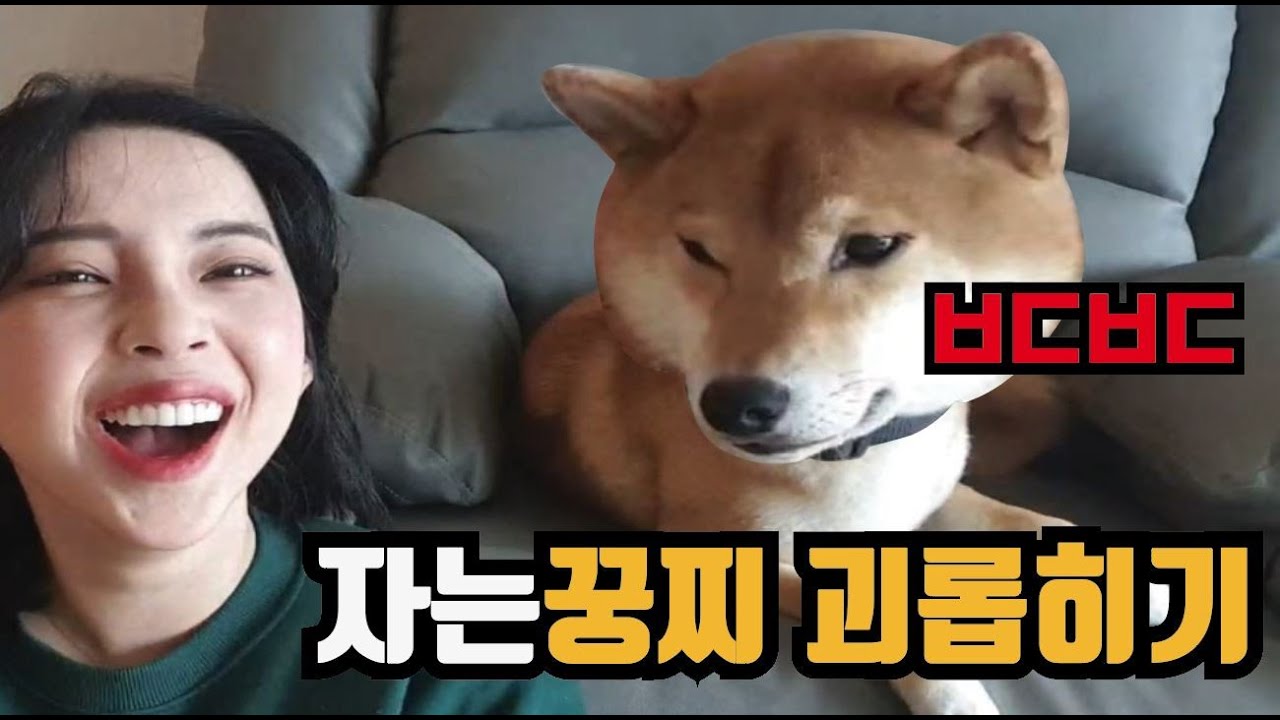 자는 꿍찌 괴롭히기