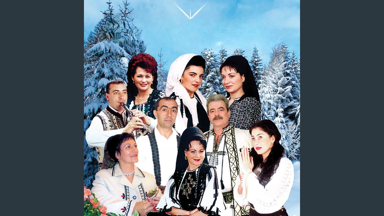 Doi Cocosi Negri-Au Cantat