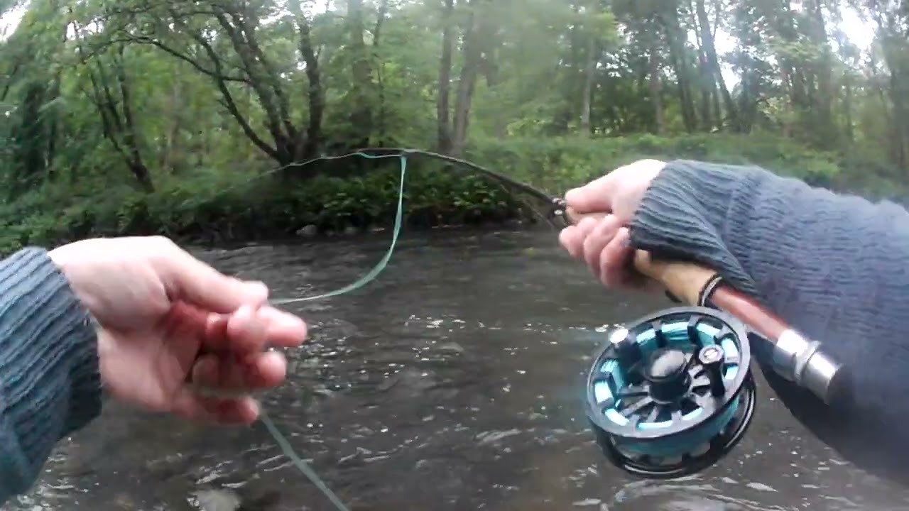 River Leven Fly Fishing Town Water #ukbrowntroutfishing #flyfishingscotland  #riverleven