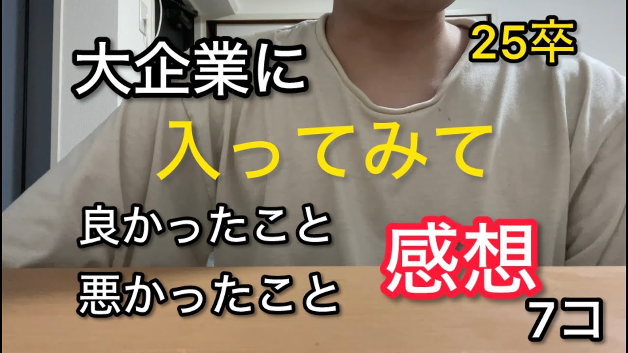 大企業に入ってみたリアルな感想｜メリットデメリット