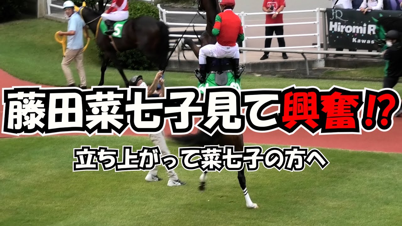【藤田菜七子】パドックで立ち上がって 菜七子の方へ 現地映像