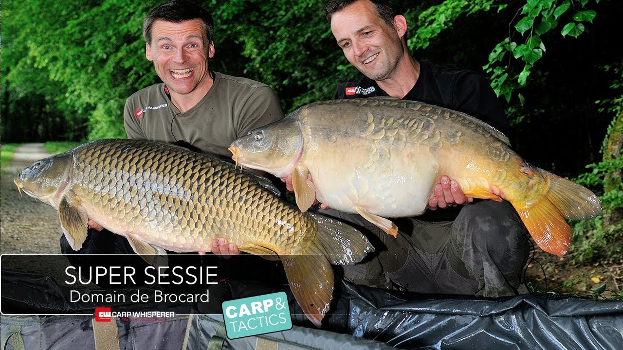 Domain de Brocard super sessie in Noord Frankrijk, part 1