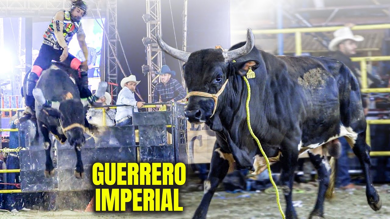 DE LOS MEJORES TOROS DE MEXICO || Rancho La Candelaria